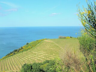 Villa Santa Vittoria in Matenano Entorno 36