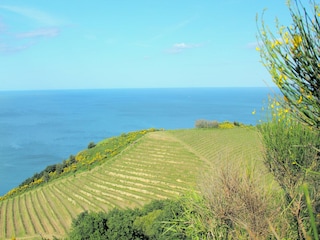 Villa Santa Vittoria in Matenano Environnement 35