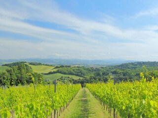 Appartamento Santa Vittoria in Matenano Ambiente 35