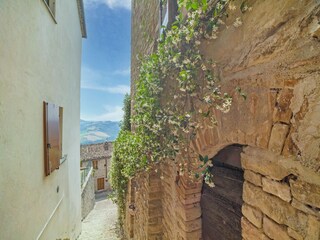 Holiday house Santa Vittoria in Matenano Features 16