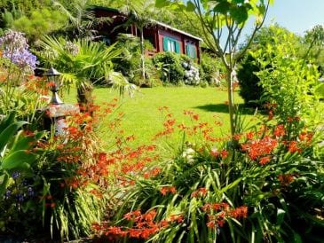 Holiday house Casa Frizzi