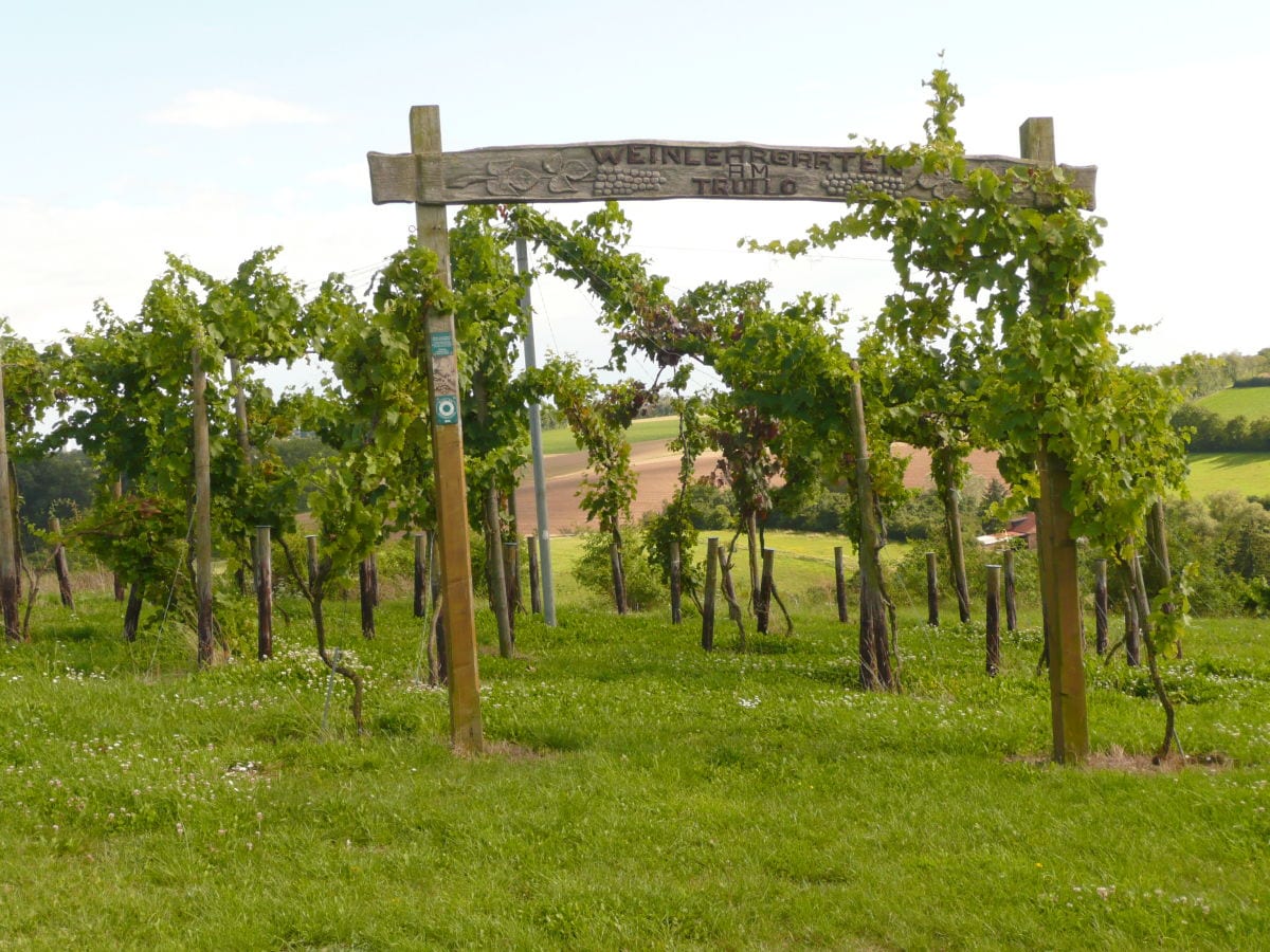 Weinlehrgarten am Trullo