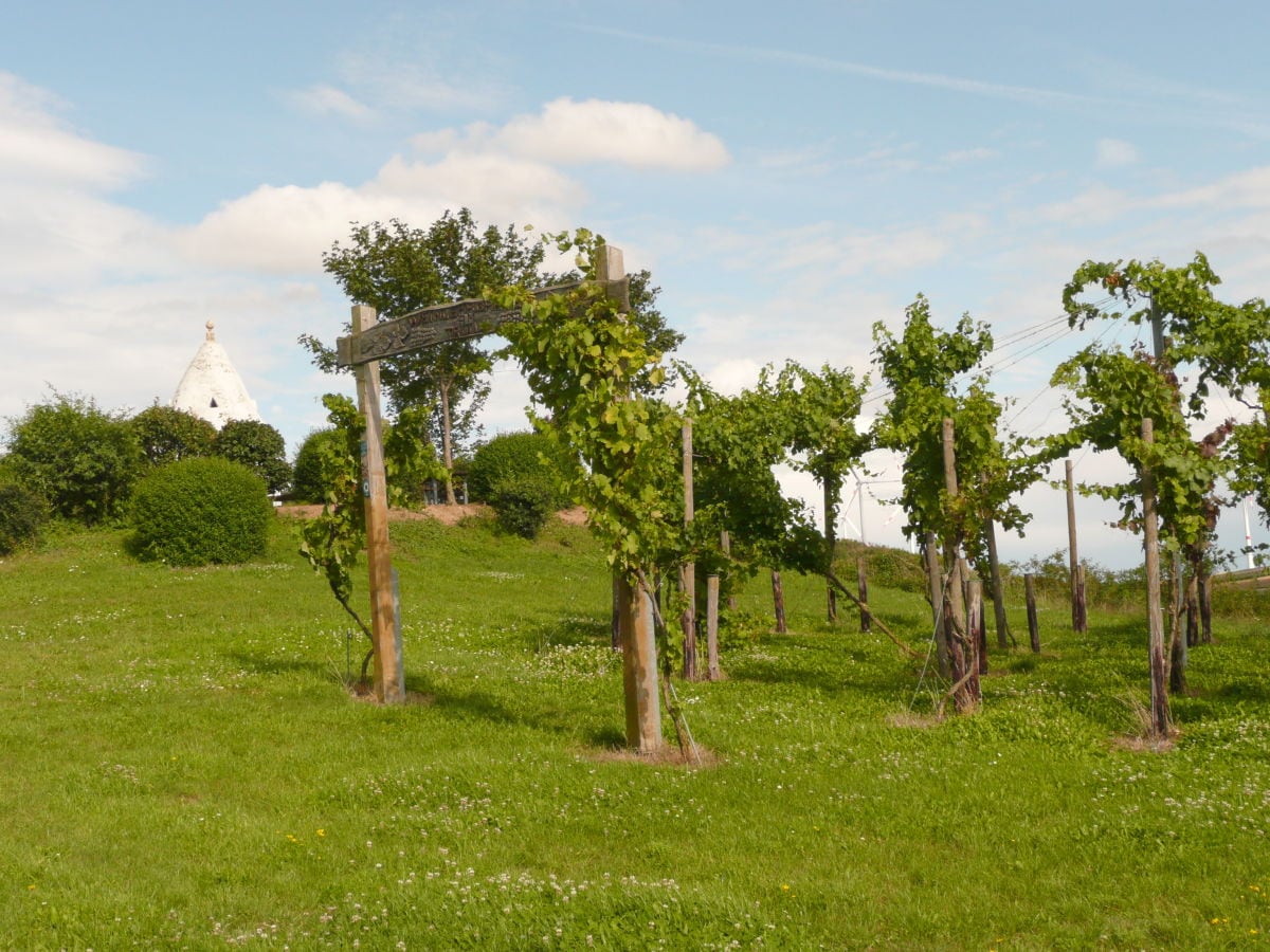 Weinlehrgarten am Trullo