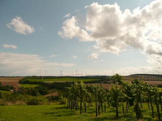 Ferienwohnung Flonheim  13