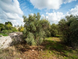 Holiday cottage Alberobello Outdoor Recording 13