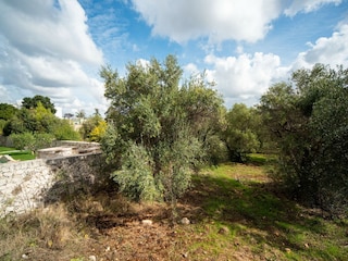 Holiday cottage Alberobello Outdoor Recording 9