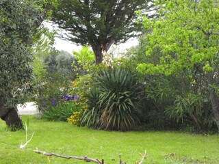 Casa de vacaciones Cisternino Grabación al aire libre 3
