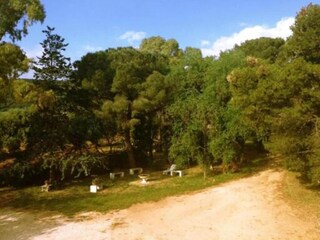 Casa de vacaciones Cisternino Entorno 34