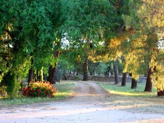 Casa vacanze Cisternino Ambiente 30