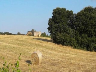 Holiday cottage Cisternino Environment 21