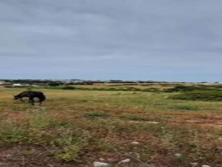 Cottage Cisternino Umgebung 13