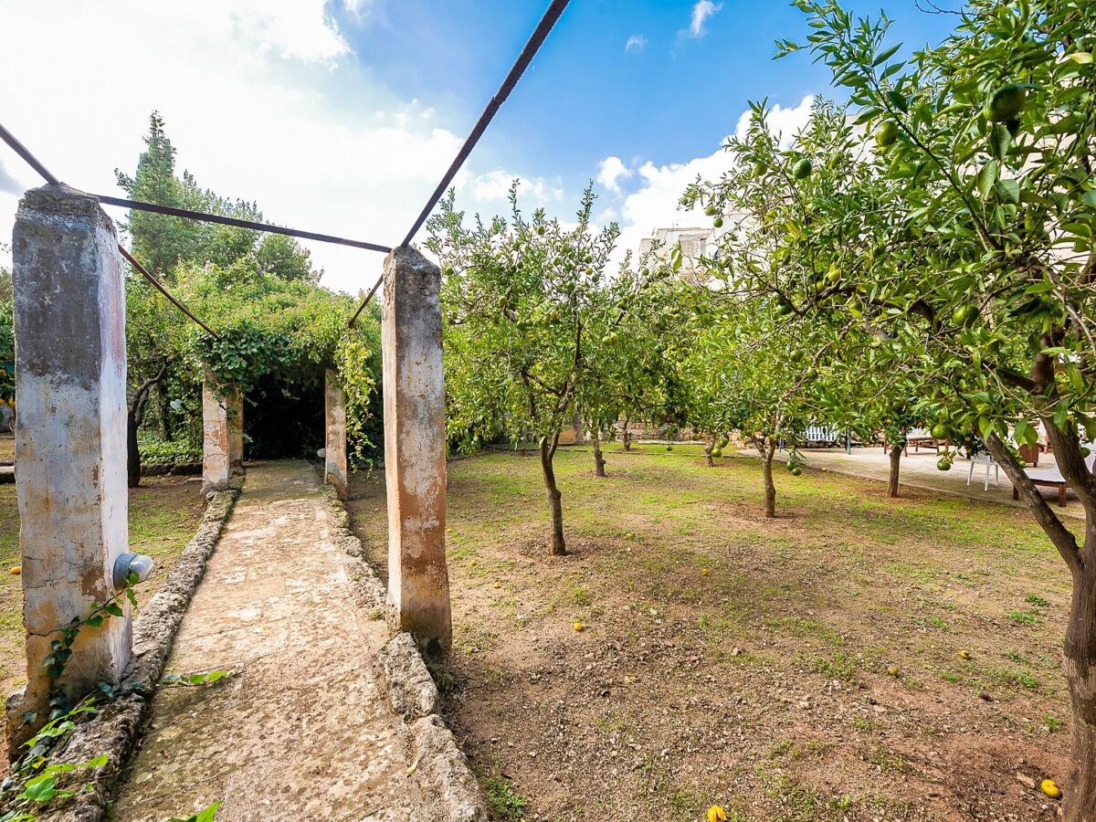 Ferienhaus Casarano Außenaufnahme 5