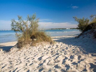 Vakantiehuis Casarano Omgeving 32