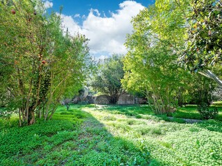 Holiday house Casarano Environment 33