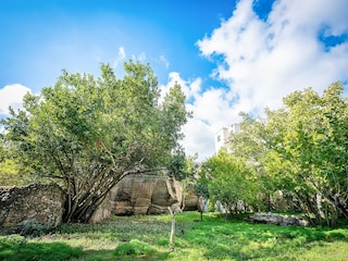 Ferienhaus Casarano Außenaufnahme 11