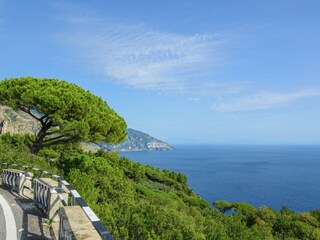 Vakantiehuisje Sorrento Omgeving 29