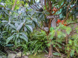 Landhaus Sorrento  40