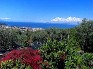 Landhaus Sorrento Außenaufnahme 3