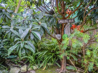 Landhaus Sorrento Außenaufnahme 9