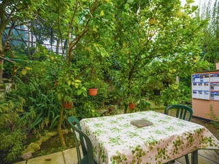 Casale Sorrento Registrazione all'aperto 8