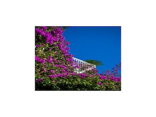 Ferienhaus Positano Außenaufnahme 23