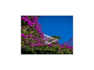 Ferienhaus Positano Außenaufnahme 28