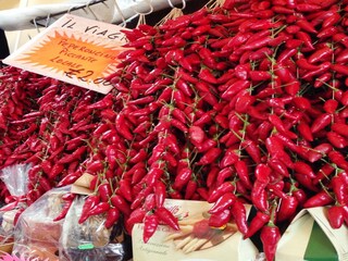 Appartement Drapia Environnement 33