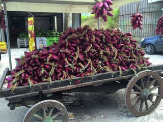 Appartamento Drapia  40