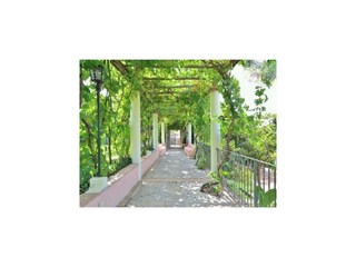 Cottage Drapia Outdoor Recording 12