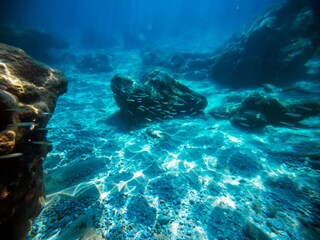 Villa San Nicolo di Ricadi Environnement 28