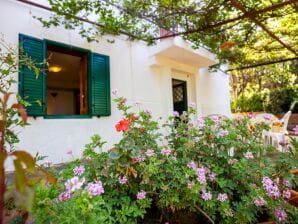 Villa in Ricadi mit Strand und Meer - San Nicolo di Ricadi - image1