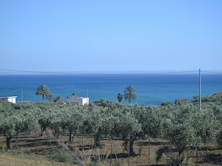 Ferienhaus Sciacca Umgebung 40