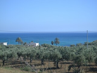 Maison de vacances Sciacca Environnement 35