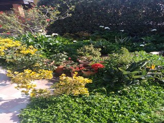 Casa per le vacanze Agnone Bagni Registrazione all'aperto 9