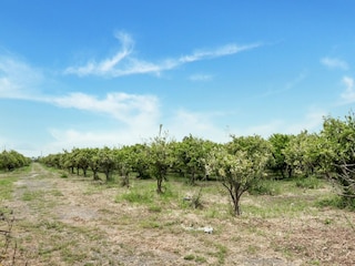 Ferienhaus Agnone Bagni Umgebung 34
