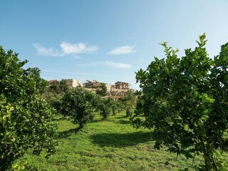 Ferienhaus Noto Marina Außenaufnahme 6