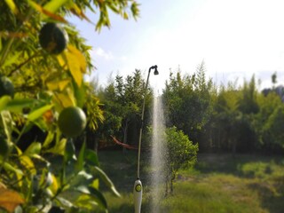 Holiday house Noto Marina  46