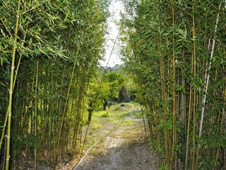 Vakantiehuis Noto Marina  31