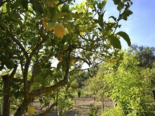 Holiday house Noto Marina  44