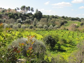 Vakantiehuis Noto Marina  43