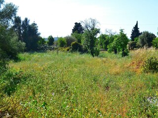 Maison de vacances Noto Marina Enregistrement extérieur 4