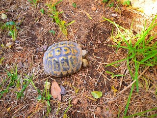 Vakantiehuis Noto Marina  27