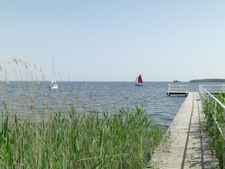 Uferbereich der Müritz mit Steg