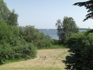 Ufer der Müritz im Sommer