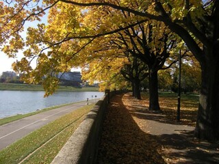 Appartamento Krakau Ambiente 27