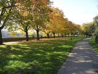 Appartamento Krakau Ambiente 35