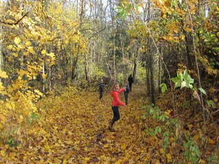 Holiday house Stara Kamienica Environment 20