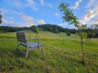 Maison de vacances Stara Kamienica Environnement 14