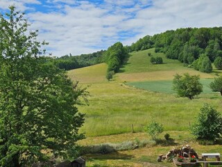 Ferienhaus Stara Kamienica Umgebung 15