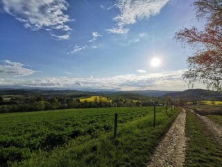 Maison de vacances Stara Kamienica Environnement 16